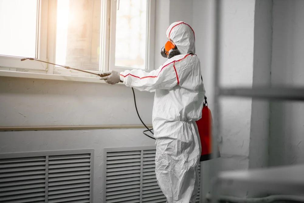 Professional mold remediation services in Van Meter, IA